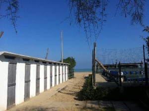 Pescara. Il WWF sul Piano spiaggia: “Non c’è mai stata alcuna condivisione”