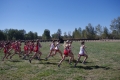 Montesilvano. Quinto trofeo Squillamantis