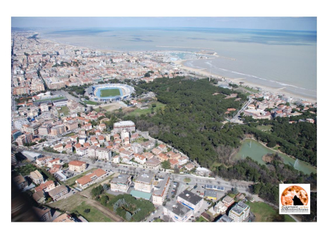 Pescara/bilancio 2024 Polizia locale: sinistri 1.259, 3 persone decedute e 539 feriti.