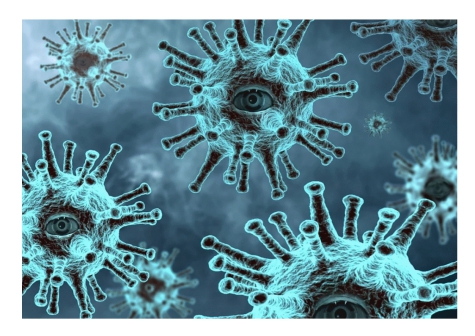 Abruzzo Covid 19. Vaccino e piattaforma