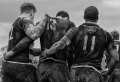 Pescara, mostra 'Fango e sudore – Museo del Rugby