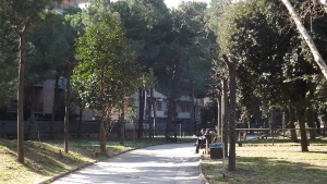 La torre del Bardo 2016, Shakespeare in versione Pocket Play