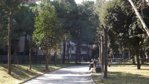 La torre del Bardo 2016, Shakespeare in versione Pocket Play