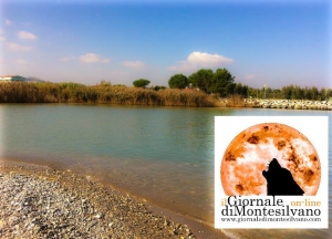 Montesilvano. Due trabocchi sul Saline, otto le ditte ammesse per la realizzazione