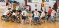 Basket. L'Amicacci entra nella fase decisiva della stagione, tra Italia ed Europa
