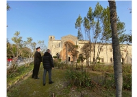 Manoppello/potature a Santa Maria Arabona. Sindaco, sopralluogo con professionista