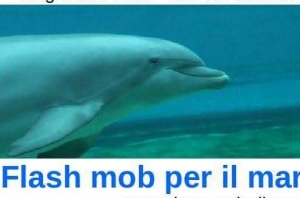 Giulianova: “Fuori i petrolieri dall’Adriatico”.