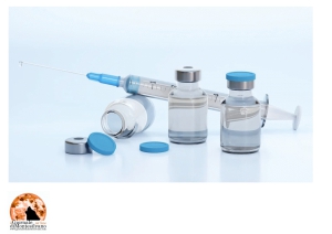 Vaccini. A chi segnalare eventuali reazioni?