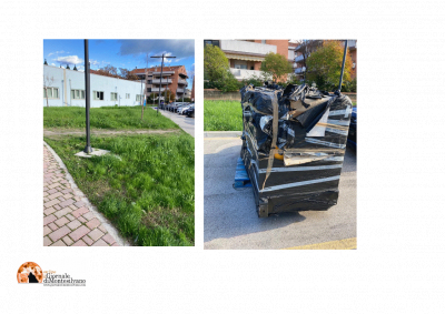 Erbacce e un generatore ancora imballato