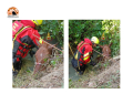 Spoltore, cavallo salvato, rischiava di annegare