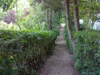 Loreto Aprutino. Caccia al Tesoro alla scoperta dell’ombra degli alberi.