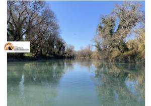 Pescara. Primo intervento manutenzione straordinaria delle sponde del fiume per la navigabilità