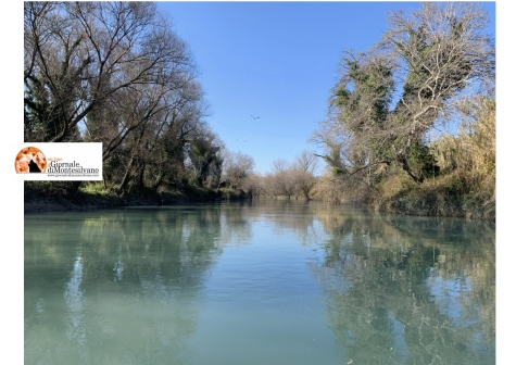 Pescara. Primo intervento manutenzione straordinaria delle sponde del fiume per la navigabilità