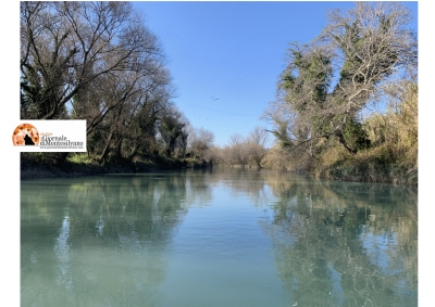 Pescara. Primo intervento manutenzione straordinaria delle sponde del fiume per la navigabilità