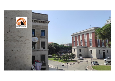 Parklet e dehors, incontro tra Comune e imprese: a giorni la soluzione del problema