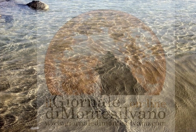 Montesilvano, tratto di mare con divieto temporaneo di balneazione.