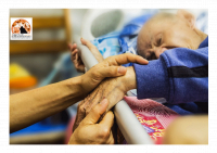 Pescara/Asl. Potenziamento dell’Assistenza Domiciliare Ematologica (ADE)