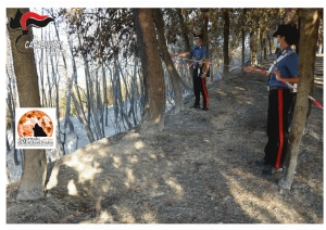Ortona/incendio sulla costa trabocchi, individuato l'autore.