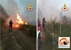 San Silvestro, incendio su colle Renazzo, danneggiamento di abitazioni. Tutta la notte in azione.