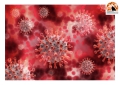 Coronavirus in Abruzzo. 392 nuovi casi e 424 guariti.