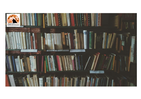 Montesilvano/biblioteca. Lancia Rete per la Lettura: un progetto per promuovere i libri