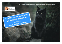 17 Agosto, gatti neri neri, santi, scandali e terrorismo.