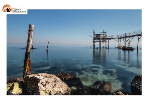 Bolkestein. Tutela Trabocchi Bocciata mozione 'Alternativa c'è'. "Presenteremo emendamento a ddl Concorrenza”