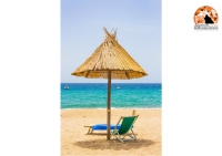 Viaggi di gruppo, ecco come programmare le tue vacanze estive