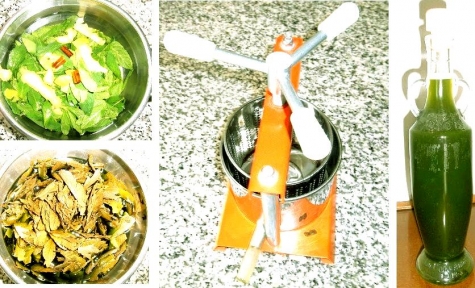 Liquore alla menta la conpressa e le foglie