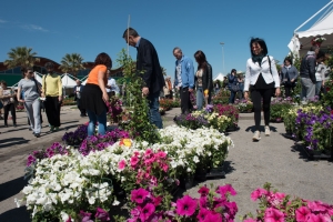 “Mostra del Fiore Florviva” al Porto Turistico “Marina di Pescara”