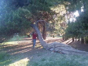 Pino Coricato a Pescara