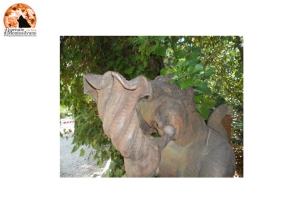 Chieti. Sindaco Ferrara sospende abbattimento di cinquanta alberi