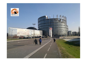 Pnrr, Eurocamera vota si a proroga di 18 mesi per spendere i fondi.