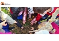 Festa degli alberi 2021. Il Co.n.al.pa. dona alberi