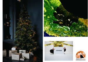 Covid 19/Abruzzo. 257 nuovi casi e 12 decessi