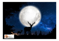 29 luglio, luna del Cervo. Ecco come goderla.