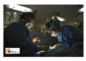 Abruzzo/Donazione organi. Deciso il prelievo a cuore fermo a procedura ‘controllata’