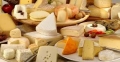 Formaggio rumeno contaminato a Firenze, bimbo ricoverato
