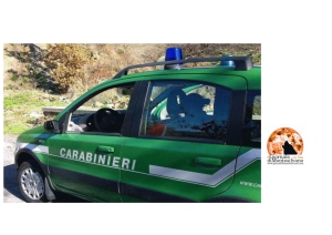 Fare Verde: a Balsorano incivili puniti grazie ai Carabinieri Forestali.