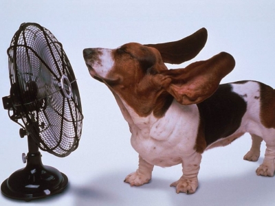 Caldo nei prossimi giorni con l'anticiclone africano