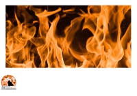 Incendio nella Pineta di Pescara. Vigili del Fuoco spengono fiamme accanto al lago dei cigni.
