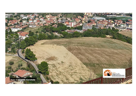 Montesilvano. Accordo Comune-Enel: piano di ri asfaltatura per le grandi arterie cittadine