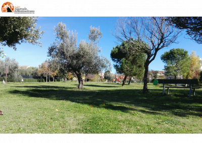 Giulianova, nuove piantumazioni con l’associazione “Un albero in più”