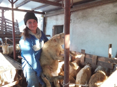 Alina la pastora nella Valle Gumentina
