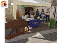 WWF nei territori dell’orso in camper