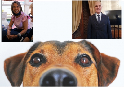 Masci e Di Nisio