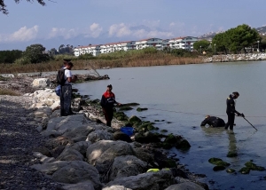 Milillo alla foce del Saline