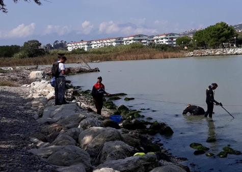 Milillo alla foce del Saline