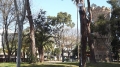 Villa Sabucchi