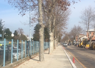 il viale in oggetto